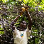 senegal-madd-2
